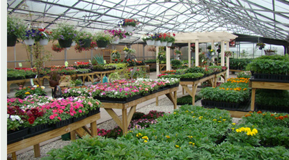 Nickel Plate Mills Our greenhouse is fully stocked with healthy, vibrant vegetables and flowers during spring and early summer.